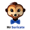 MR SURICATE